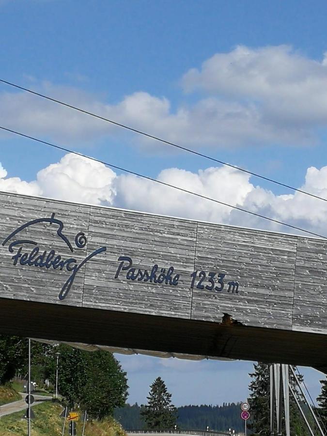 Residenz Grafenmatt, Ferienwohnung Feldberg Фелдберг Екстериор снимка